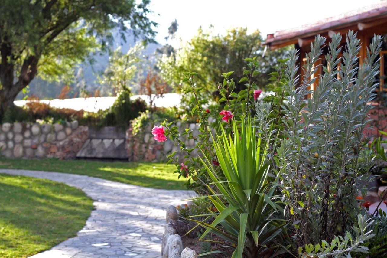 Fleur Lodge Carhuaz Exterior photo